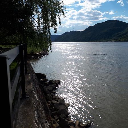 Dedin raj Villa Golubac Buitenkant foto