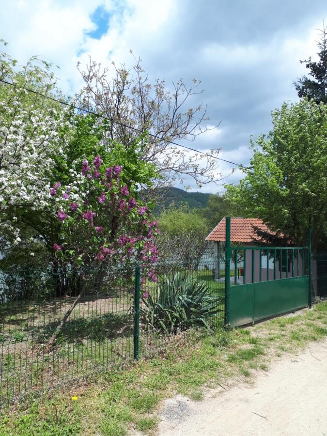 Dedin raj Villa Golubac Buitenkant foto