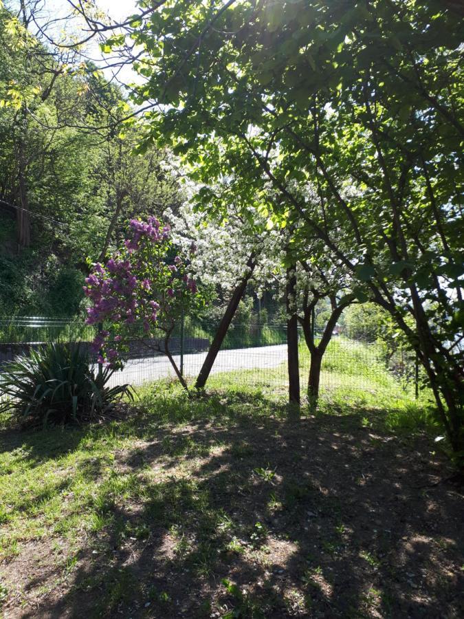 Dedin raj Villa Golubac Buitenkant foto