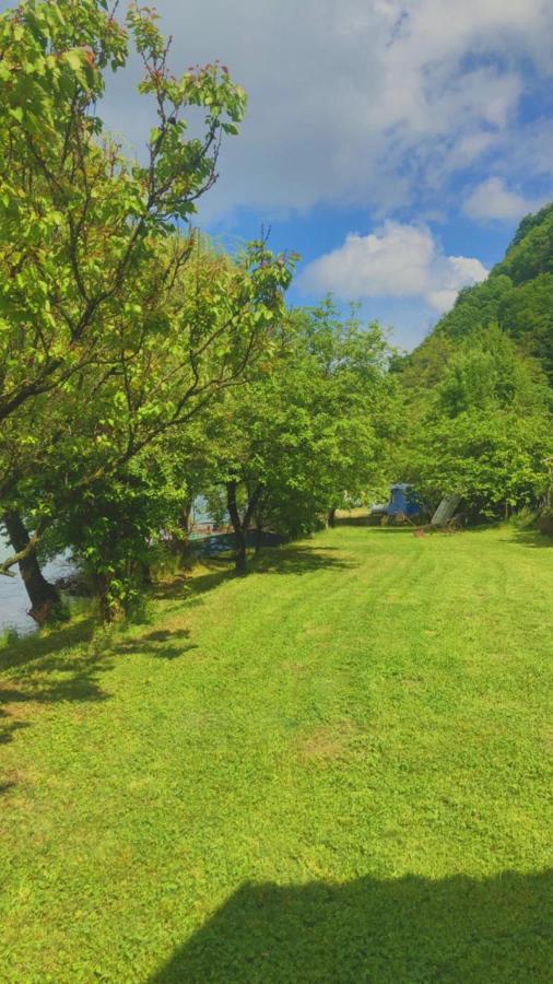 Dedin raj Villa Golubac Buitenkant foto