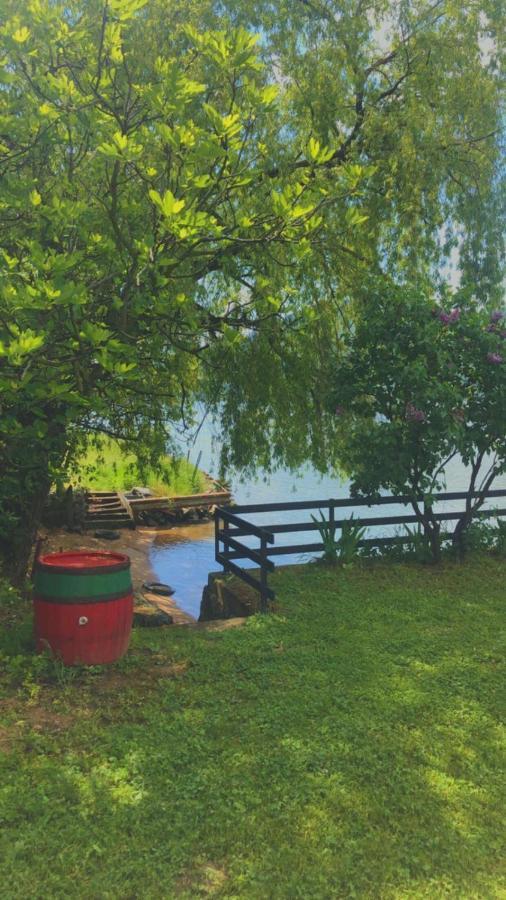 Dedin raj Villa Golubac Buitenkant foto